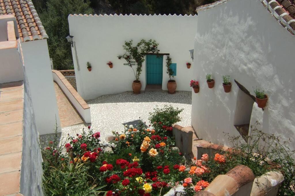 Casa Rosa, Con Encanto Y Piscina Climatizada Frigiliana Exterior photo